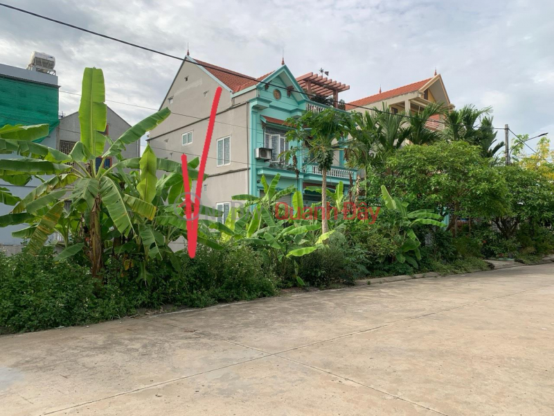 Property Search Vietnam | OneDay | Residential, Sales Listings, OWNER SELLS Beautiful Land Lot, Good Price In Quarter 4, Yen Ninh Town, Yen Khanh District, Ninh Binh Province