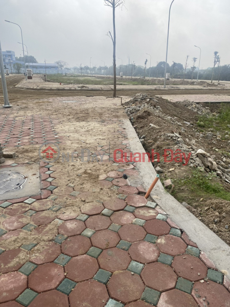 Land Transfer at Auction, Lot Division in Thanh Tri Sales Listings