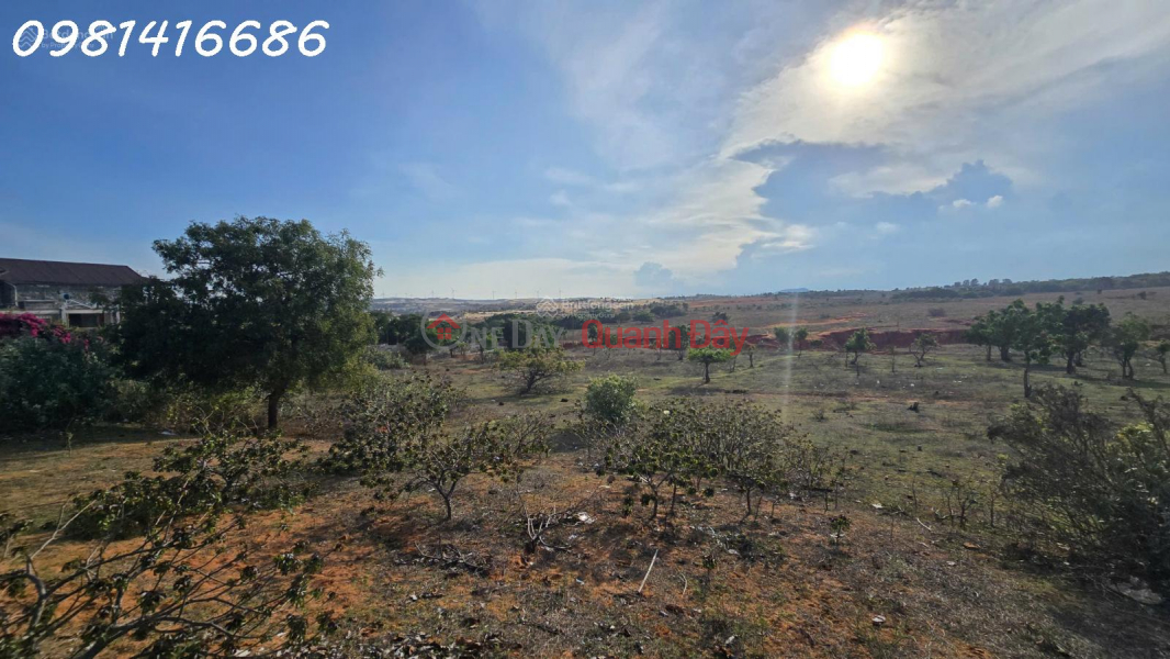Land near Hoa Thang beach. A rare, large plot of land available for investment! | Vietnam | Sales | đ 23 Billion