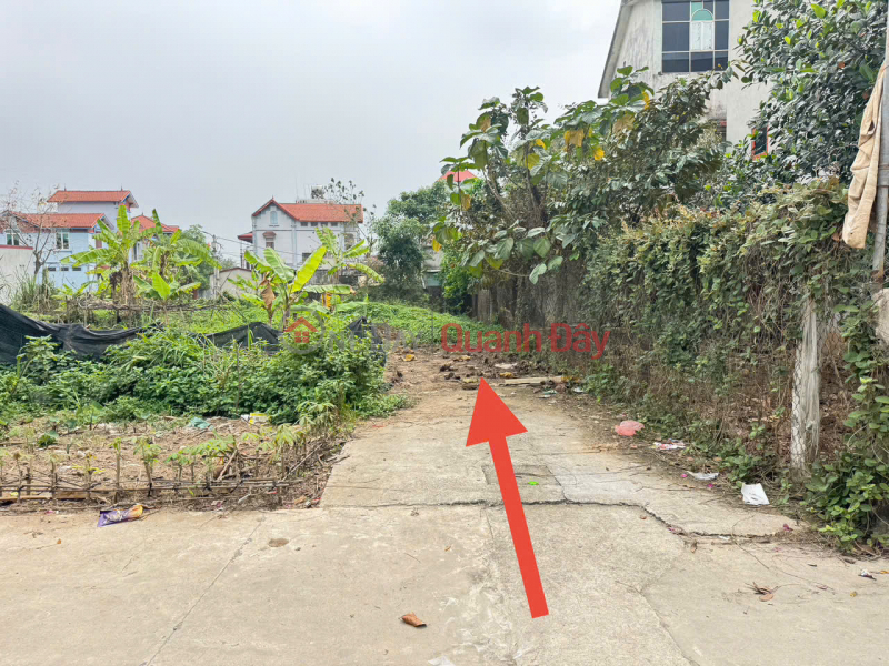 Property Search Vietnam | OneDay | Residential Sales Listings, Extremely rare opportunity! 64m² plot of land in Group 9, Quang Minh - right next to the industrial zone, priced at only 1.8 billion VND.