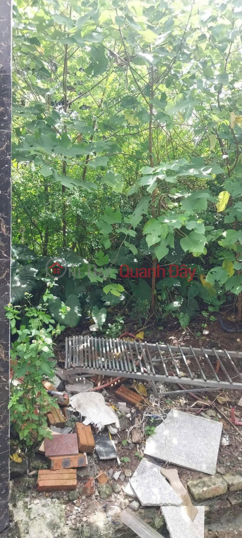 BÁN ĐẤT ĐÔNG DƯ – BÁT TRÀNG 41,7m² Ô TÔ VÀO SÁT NHÀ CẠNH HỒ ĐIỀU HÒA GIÁ CHỈ 5 TỶ _0