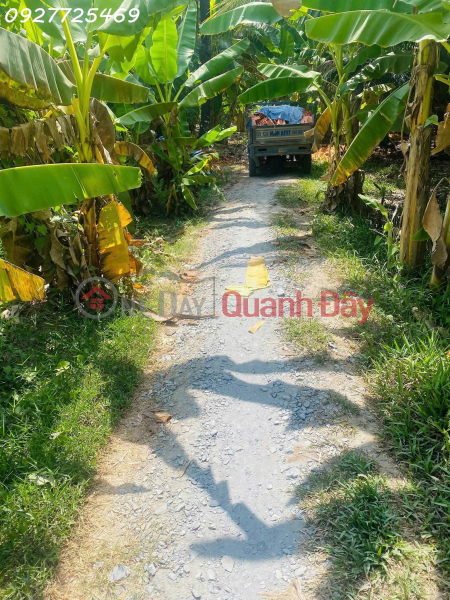 Property Search Vietnam | OneDay | Residential Sales Listings Selling nearly 2.8 acres of Ri6 durian orchard, 7 years old, in Thanh Trieu commune, Ben Tre province.