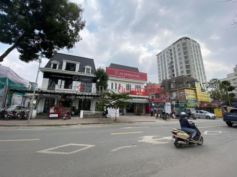 Property Search Vietnam | OneDay | Nhà ở, Niêm yết bán Chính chủ bán Biệt thự Đại Mỗ, Sa Đôi, 240m2, MT14m, 2 thoáng 25 tỷ nhỉnh