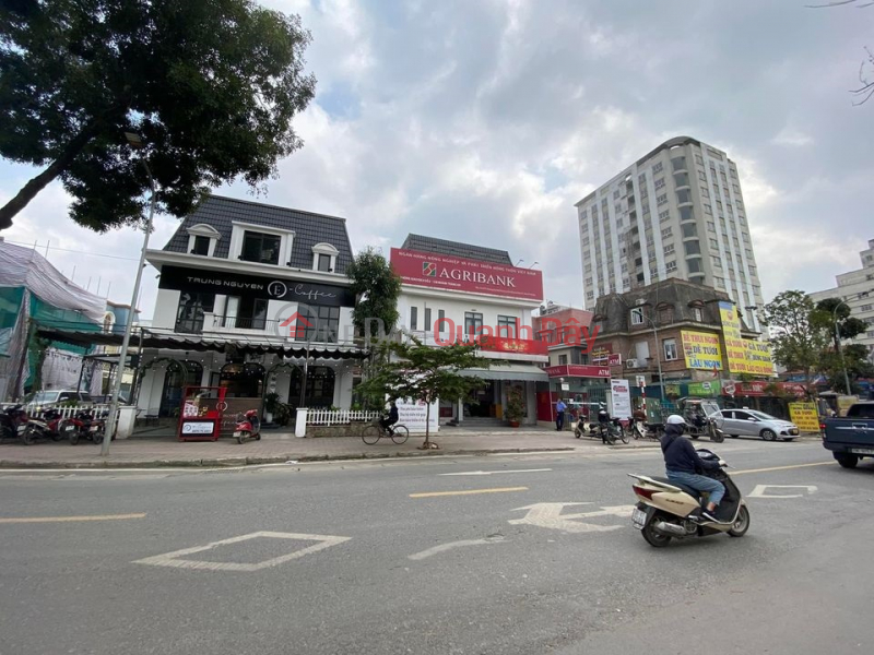 Property Search Vietnam | OneDay | Nhà ở, Niêm yết bán | Chính chủ bán Biệt thự Đại Mỗ, Sa Đôi, 240m2, MT14m, 2 thoáng 25 tỷ nhỉnh