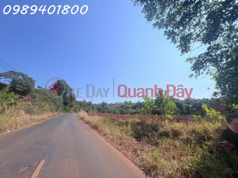 Siểu phẩm - Đất mặt tiền Quốc Lộ 28, Thị trấn Quảng Khê, DT 1000m2, giá đầu tư _0