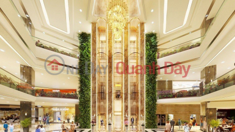 Hoang Huy Commerce luxury apartment for sale _0