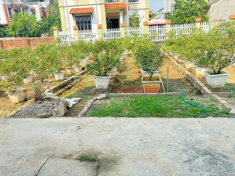 Land for sale in Trung Hau Doai Village, Tien Phong, Me Linh - Red book with owner, prime location Sales Listings