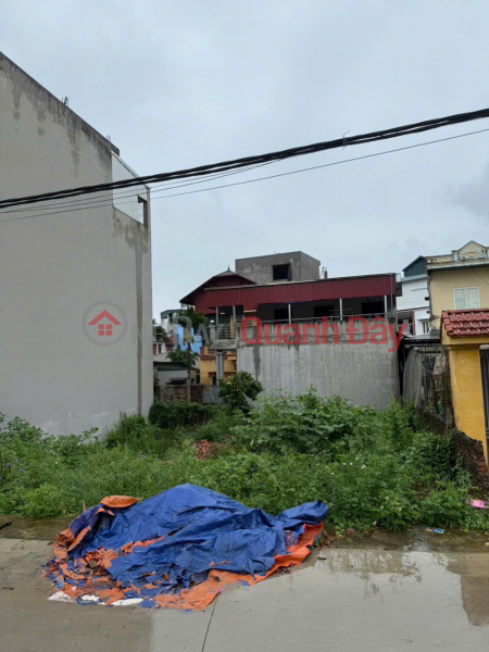 Property Search Vietnam | OneDay | Nhà ở | Niêm yết bán CẦN BÁN LÔ ĐẤT ĐẸP XÃ TỨ HIỆP, HUYỆN THANH TRÌ, HÀ NỘI. Diện tích : 65m2- Mặt tiền : 5.5m2