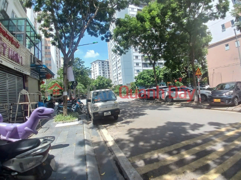 BÁN BIỆT THỰ TÂY NAM LINH ĐÀM- HOÀNG MAI, 180 M2, 4 TẦNG, MT 10 M, GIÁ 58 TỶ. _0