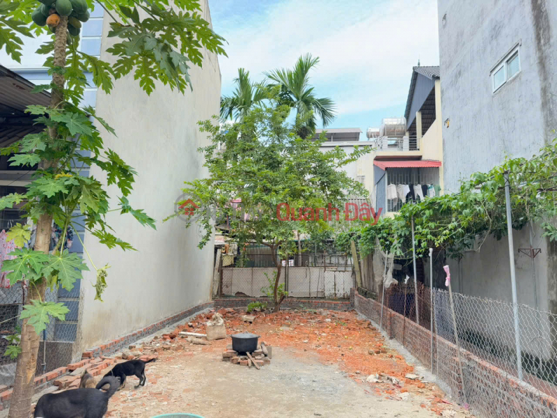 Property Search Vietnam | OneDay | Nhà ở Niêm yết bán | Đất Hai Mặt Thoáng, Vị Trí trung tâm, gần KCN, Đắc Địa - Giá Tốt Tại Chi Đông, Mê Linh