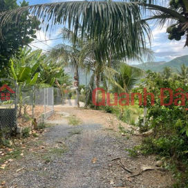 LAND FOR SALE IN DIEN TOAN COMMUNE, DIEN KHANH DISTRICT, KHANH HOA PROVINCE _0