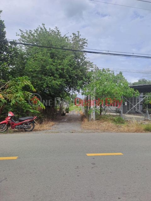 BEAUTIFUL LAND - GOOD PRICE - Land Lot For Sale Prime Location In Cu Chi District, HCMC _0