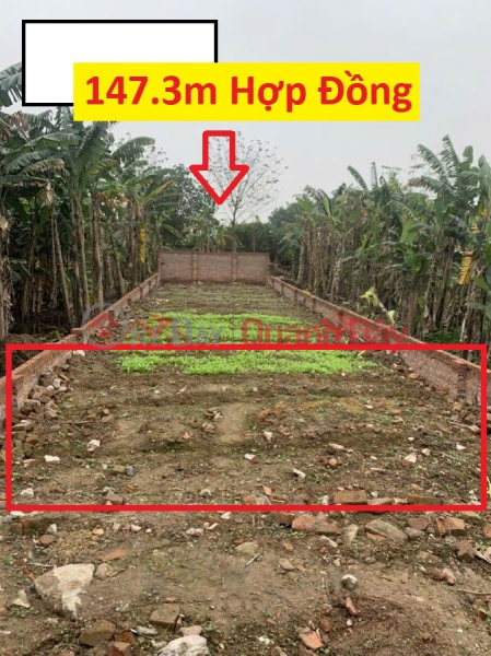 HÀNG FO CHÍNH CHỦ BÁN LÔ ĐẤT 147,3M TẠI HỢP ĐỒNG-CHƯƠNG MỸ-HÀ NỘI Niêm yết bán
