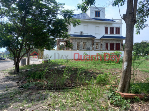 Land for sale in Doan Khe village - Lac Dao commune, Van Lam district, Hung Yen, cheap price like industrial land _0
