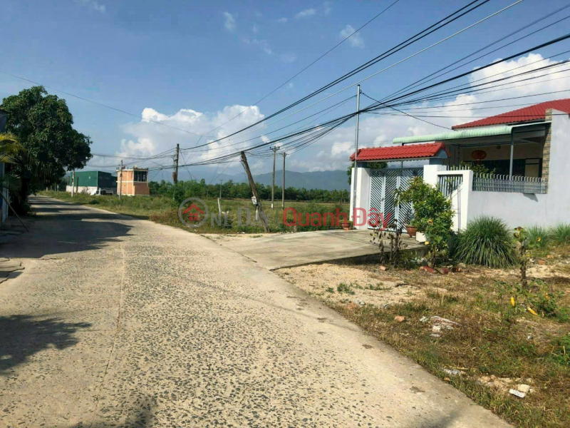 OWNER'S LAND - Good price - Beautiful location in Truong Thanh village, Dien Thanh commune, Dien Khanh, Khanh Hoa Sales Listings