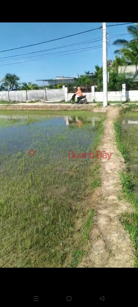 BEAUTIFUL LAND – FAMILY NEEDS TO SELL BEAUTIFUL LAND LOT IN Phuoc Dan Town, Ninh Phuoc District, Ninh Thuan Province QUICKLY _0