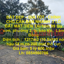 BEAUTIFUL LAND - GOOD PRICE - OWNERS NEED TO SELL QUICKLY 2 FRONT LOT OF LAND IN Ward 2, Bao Loc City, Lam Dong _0