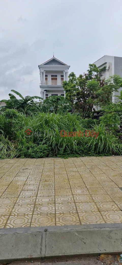 Golden Opportunity: Own Land With 2 Frontages On Nguyen Thi Dinh Street, Phu Ly! _0