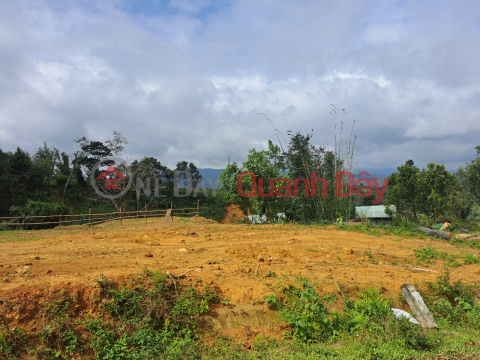 HOME OWNER NEEDS MONEY TO PAY DEBT URGENTLY SELL MANG DEN LOT OF LAND AT SUPER CHEAP PRICE _0