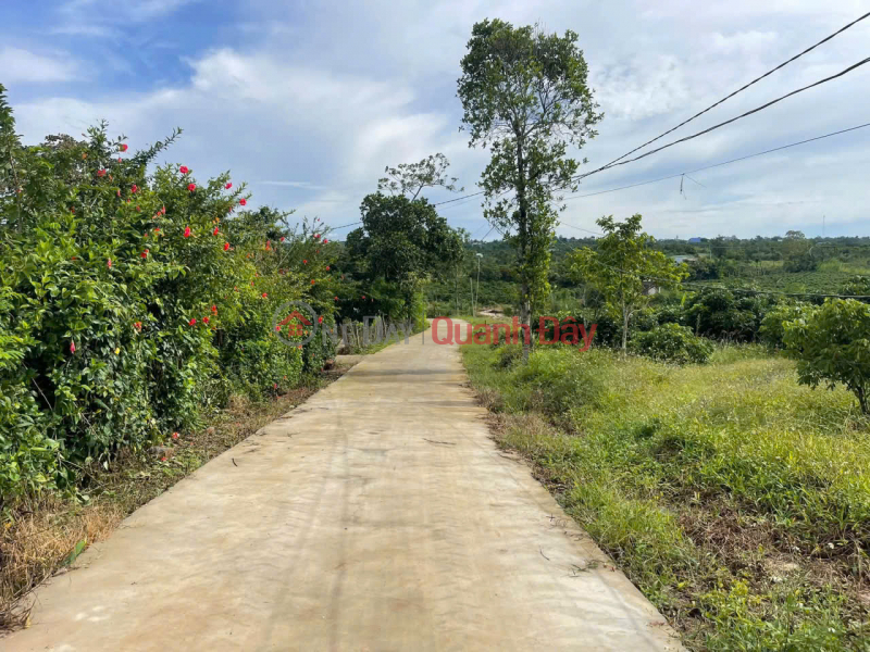 Beautiful land in Xuan Phu, Ea Kar, Dak Lak - 200m2, fully residential land - Only 150m from National Highway 29 - Price 189 million VND Sales Listings
