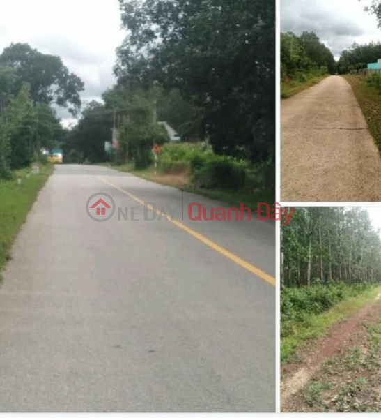 BEAUTIFUL LAND - GOOD PRICE - Land Lot For Sale Nice Location in Lac Tanh Town, Tanh Linh District, Binh Thuan Sales Listings