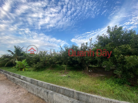 ĐẦU TƯ SINH LỜI – CHÍNH CHỦ CẦN BÁN ĐẤT Tại Xã Trường Đông, thị xã Hòa Thành, tỉnh Tây Ninh _0
