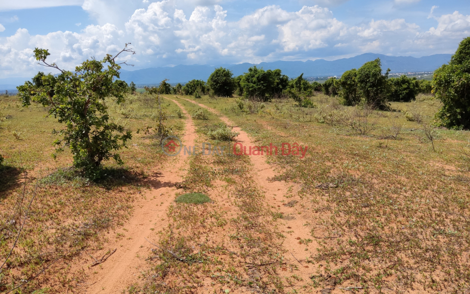 6.480m2 đất vườn, cách đường liên xã 500m, view đất đẹp. Việt Nam Bán | đ 518 triệu