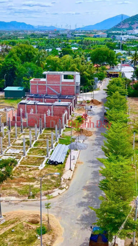 SÓNG QUY HOẠCH ĐANG LÊN – KDC TÂN HỘI BẢO AN THÀNH “ĐIỂM VÀNG” MỚI _0