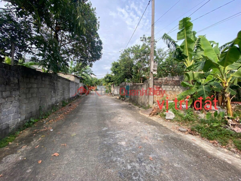 Property Search Vietnam | OneDay | Residential, Sales Listings | OWNER NEEDS TO SELL 120M2 LAND LOT AT HOANG VAN THU-CHUONG MY-HANOI