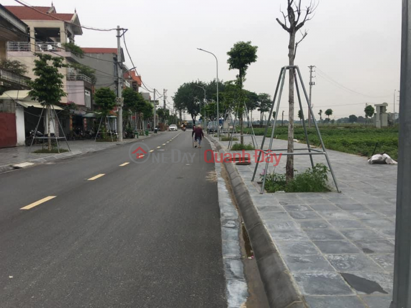 Land for sale at auction in area X2 Thai Binh, Mai Lam commune. Area of 1 lot 80m2, frontage 5m, investment price, Vietnam | Sales, ₫ 5.66 Billion