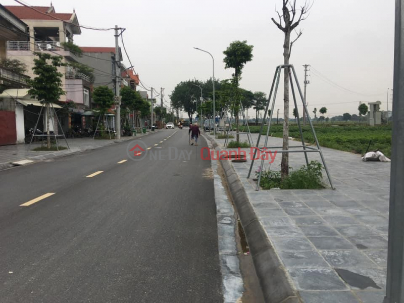 Land for sale at auction in area X2 Thai Binh, Mai Lam commune. Area of 1 lot 80m2, frontage 5m, investment price | Vietnam, Sales | đ 5.66 Billion