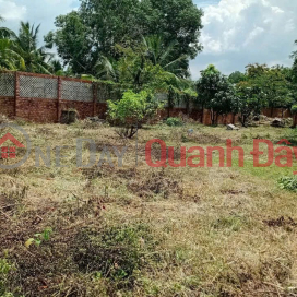 PROFITABLE INVESTMENT – NEARLY 1,000M² GARDEN LAND FOR SALE, Tam Da Street, Long Phuoc Ward, District 9, Ho Chi Minh City _0