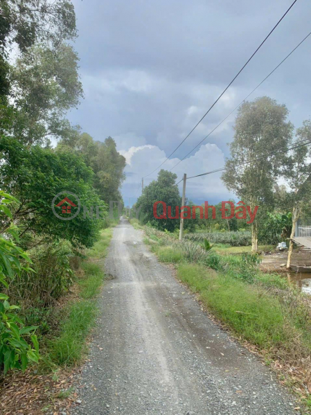 Need to sell a beautiful plot of land nearly 18 hectares, in Thanh Hoa Commune, Tan Phuoc, Tien Giang | Vietnam | Sales đ 230 Million