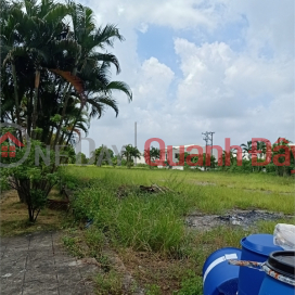 Selling 15ha of warehouse land for 50 years factory in Cam Giang District, Hai Duong Province _0