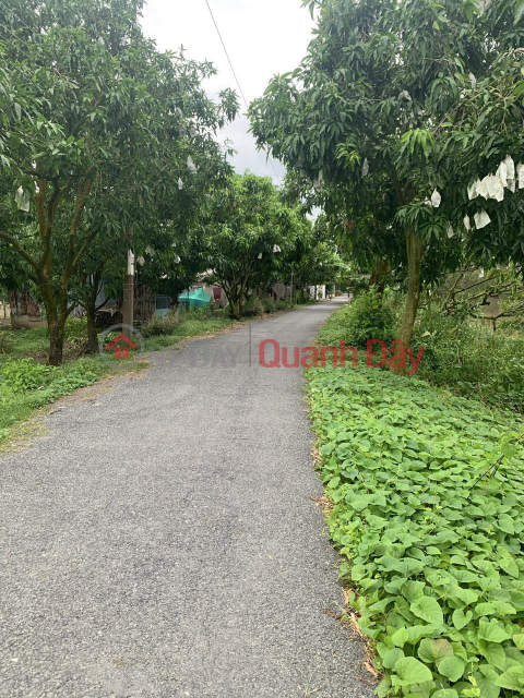 Beautiful Land - Good Price - Plot of Land for Sale Location At Tien River Road, Tinh Thoi Commune, Cao Lanh City, Dong Thap _0