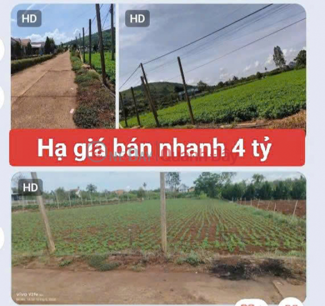 Property Search Vietnam | OneDay | Residential Sales Listings, 3120m2 of land for sale in Tan Hoi commune, Duc Trong district, Lam Dong province, price 4 billion VND.