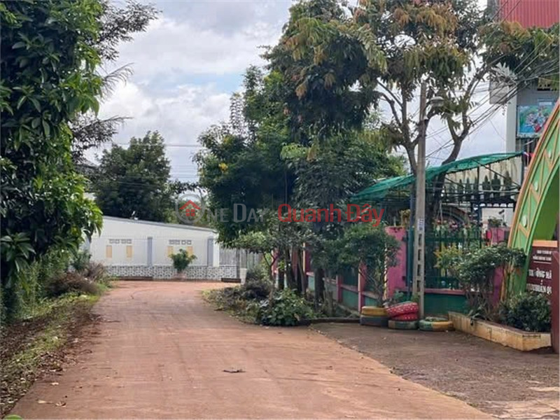 Property Search Vietnam | OneDay | Residential, Sales Listings BEAUTIFUL LAND - INVESTMENT PRICE - OWNER NEEDS TO SELL LAND LOT IN Hoa Thang, Buon Ma Thuot, Dak Lak