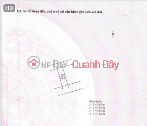 HÀNG HIẾM TÁI ĐỊNH CƯ GIA LÂM – ĐẤT ĐẸP ĐƯỜNG 9M VỈA HÈ – GIÁ CHỈ NHỈNH 9 TỶ! _0