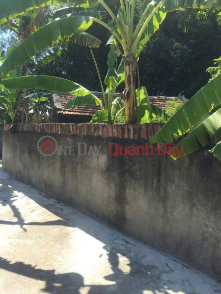 BEAUTIFUL LAND - INVESTMENT PRICE Owner needs to quickly sell a plot of land in a beautiful location in Lap Thach district, Vinh Phuc province Vietnam | Sales | đ 1.5 Billion