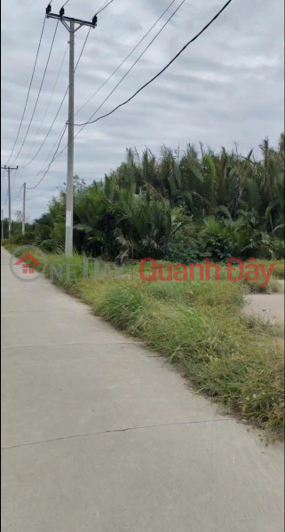 đ 2,5 tỷ, BÁN 555M2 ĐẤT SẴN SỔ MẶT TIỀN ĐƯỜNG CÁ SÚC-BÌNH KHÁNH-CẦN GIỜ