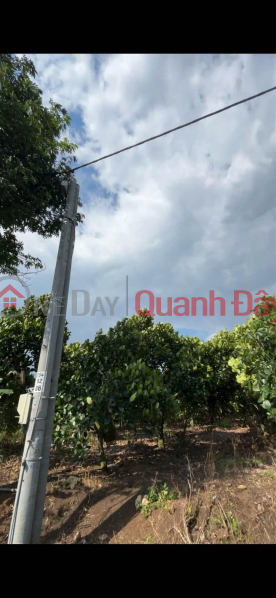 HOT HOT – OWNER NEEDS TO SELL LAND in Bau Coi, Bao Vinh Ward, Long Khanh City, Dong Nai Province, Vietnam, Sales, đ 3.4 Billion