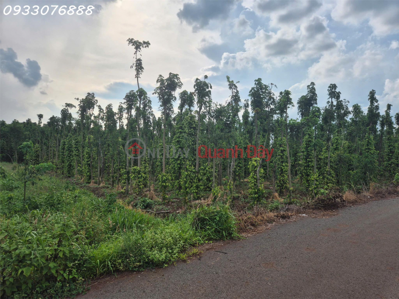 Bán đất tại Bình Trung, Châu Đức, Bà Rịa Vũng Tàu, DT 1.000m2, giá đầu tư Niêm yết bán