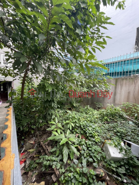 Land for sale on alleyway 264 Ngoc Thuy, 91m², accessible by car, suitable for business, investment price. _0