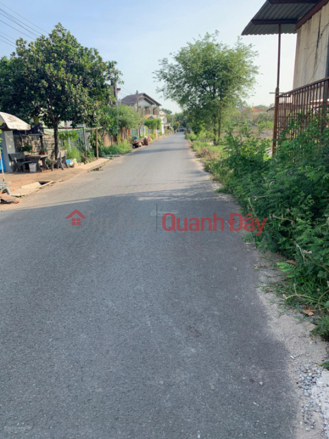 Bán gấp lô đất nông nghiệp mặt tiền đường ĐT 821, xã Lộc Giang, huyện Đức Hòa, tỉnh Long An _0