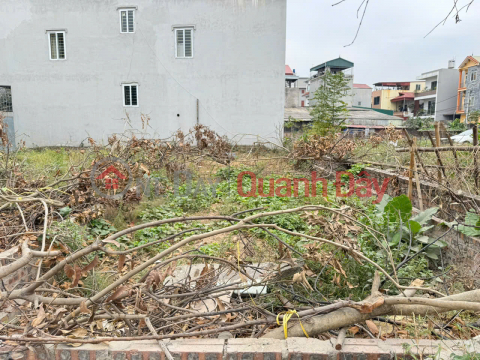 Land for Sale in Golden Location - Residential Group 9, Quang Minh Town, Me Linh, Hanoi _0