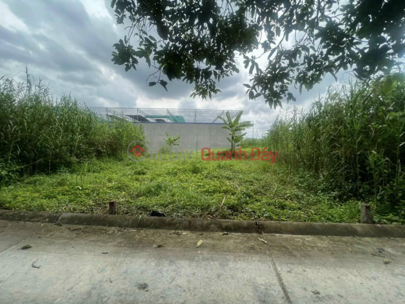 Property Search Vietnam | OneDay | | Sales Listings, Selling a pair of residential plots near Tuong Vi, My Hoa Ward, Long Xuyen City, An Giang.