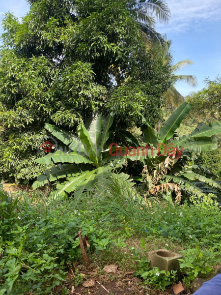 GREAT PRICE - OWNER SELLING QUICKLY: Plot of Land with Frontage on Y Jút Street, Buon Ma Thuot City Vietnam Sales, đ 135 Billion