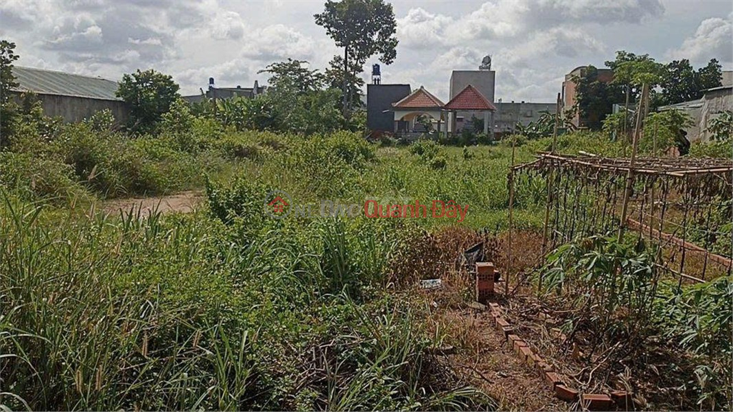 Property Search Vietnam | OneDay | Residential, Sales Listings OWNER'S LAND - FRONTAGE Rung Dau Hamlet, My Hanh Bac Commune, Duc Hoa District, Long An