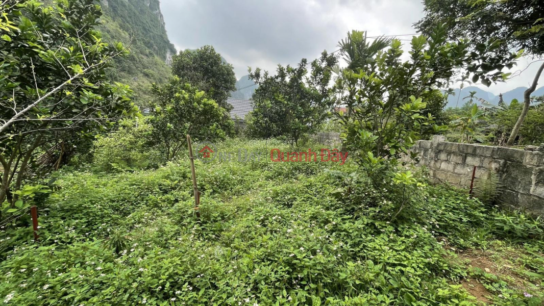 Property Search Vietnam | OneDay | Residential Sales Listings, Transfer of 2 plots x158.8m2 full residential area, frontage 15m x 2 in Thanh Son commune, Luong Son, Hoa Binh