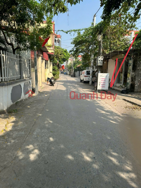 OWNER'S LAND - GOOD PRICE - Beautiful Location at Cluster 4, Tho An, Dan Phuong, Hanoi Sales Listings